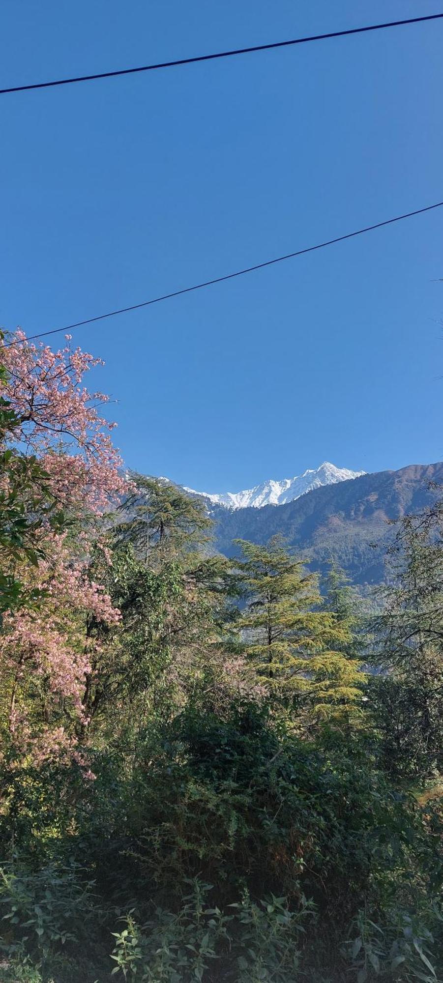 Mountain Heaven Mcleodganj Hotel Dharamshala Exterior photo